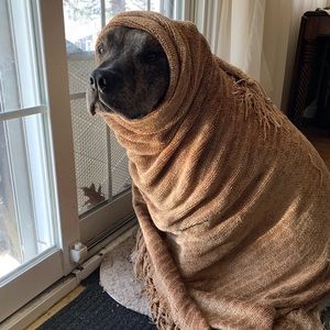 Meet your Posher, Donna